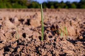 Un hectar este egal cu 10.000 m², 0, 01 km² sau 100 ari.cu alte cuvinte, un hectar este aria unui pătrat cu latura de 100 de metri. Cat CostÄƒ Un Hectar De PÄƒmant Arabil In Romania La Inceput De An AnalizÄƒ Pe Regiuni