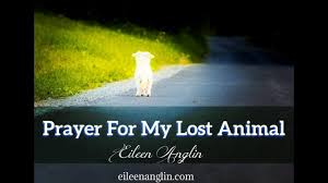 Christian prayer for loss of pet. Pin On Guided Prayers On Youtube