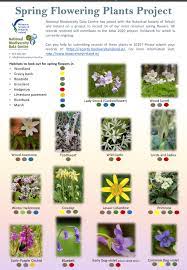 We did not find results for: Here S Our List Of 14 Plants That Biodiversity Ireland Facebook