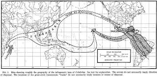 Image result for Lasiodiscus pervillei