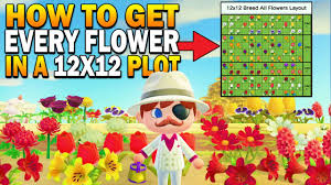 Right off the bat, you'll only be able to create two types of paths: How To Get Every Hybrid Flower In A 12x12 Area Datamined Animal Crossing New Horizons Flower Guide Youtube