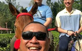 Gunung Mas Tea Gardens (2026)