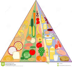 New Food Pyramid Chart Stock Vector Illustration Of Diet
