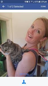 Lost cat Smokey in Collingwood Park area