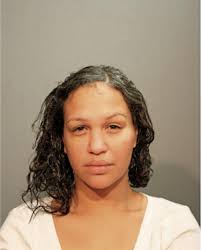 ᐅ Illinois Criminal Records 2009-2026