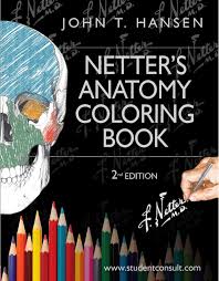 Relay for life luminaria angels you need: Calameo Netter S Anatomy Coloring Book