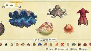Please note that the list below only applies to the southern hemisphere — scroll up to see the northern hemisphere lists. Animal Crossing New Horizons Sea Creatures Guide July Sea Creatures List Sell Prices In Acnh 2020