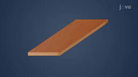 Video: Wood Panel Products