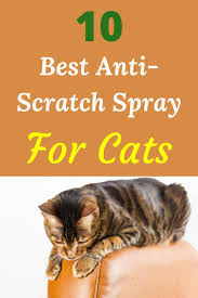 Spray paint pepper spray keychain car scratch remover scratch remover for car scratching post cat scratching post cat scratching world map scratch scratch 2,327 anti scratch spray products are offered for sale by suppliers on alibaba.com, of which building coating accounts for 12%, appliance. Pin On Pet S Daily Life Daily Pet Tips