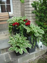 5 Easy Ways To Add Curb Appeal In Time For Spring Plants Planting Flowers Garden Containers