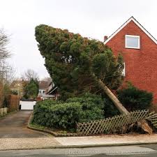 Sollten aktuell unwetterwarnungen für plagwitz vorliegen, so bekommen sie diese hier am kopf der seite angezeigt, mit einer kurzen zusammenfassung, um was für ein unwetter es sich handelt, wie stark es aktuell. Wie Sie Ihr Haus Vor Unwetter Schutzen Hallesche Immobilienzeitung