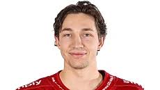 SCL Tigers' Rüegsegger and SCB's Colin Gerber join SC Langenthal via  B-licence