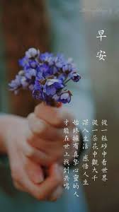 Pin By Lai Iye Ling On Good Morning In 2020 Photo Work Friend Photos Photo And Video