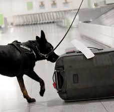 Erhöhung der behindertenpauschale ab 2021. Ukevixukfevfam