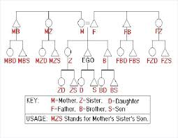 Kinship Diagram Maker How To Draw Kinship Diagrams The Human