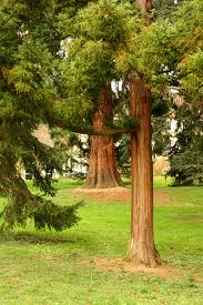 Liebe besucherinnen und besucher, herzlich willkommen im botanischen garten! Botanischer Garten Uni Hohenheim Foto Bild Landschaft Garten Parklandschaften Natur Bilder Auf Fotocommunity