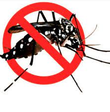 Comparisment of dengue, zika and chikungunya transmission routes. Denguepatrol On Twitter If There Is No Peaceful Nation Without Aedes Then Dengue Sinarhariansh Sinaronline Hotfm976 Thr Gegar Http T Co Id4ivg4344