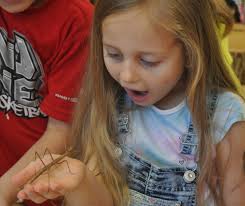 SCSD Superintendent (@SCSD_SUPT)