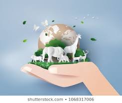 World Of The Animals Images Stock Photos Vectors