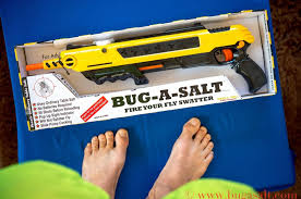 Bug a salt fly killer. Bugasalt The Final Push Indiegogo
