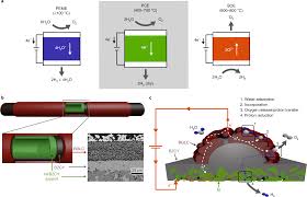 Keep your plans private with an encrypted, open source calendar from the developers of protonmail. Mixed Proton And Electron Conducting Double Perovskite Anodes For Stable And Efficient Tubular Proton Ceramic Electrolysers Nature Materials