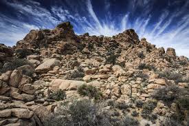 We loved the beautiful and secluded trail among the joshua trees. Roadtrip Usa Tag 10 Kurzwanderungen Im Joshua Tree National Park Buntekarte