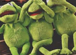 Am visat azi broaste testoase foarte multe broaste testoase ce inseamna? Ce InseamnÄƒ BroaÈ™te In Vise Vise