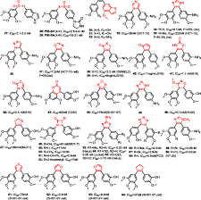 Image result for Ottelia lisowskii