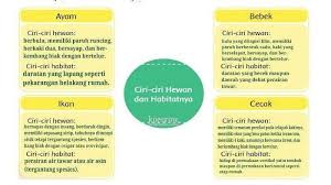 Kunci jawaban matematika ini terdiri dari kegiatan ayo mencoba dan latihan soal pada buku senang belajar matematika kelas 6 kurikulum 2013 (k13) revisi 2018. Berikut Kunci Jawaban Tema 2 Kelas 6 Halaman 44 45 46 48 49 50 Pembelajaran 1 Subtema 2 Buku Tematik Sriwijaya Post