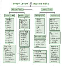 Industrial Hemp A Win Win For The Economy And The Environment