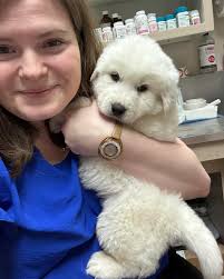 Unique names for exotic ice princess baby