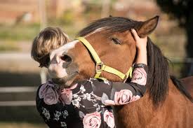 Elles ne sont, par exemple, plus dépendantes le but est de lutter contre les discriminations dont sont victimes les femmes au travail et en politique, mais aussi de permettre aux pères de rester plus. Une Therapie Equine Pour Les Femmes Touchees Par Le Cancer Du Sein Cheval Magazine
