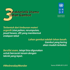 Tanah gambut terbentuk di daratan yang basah. Undp Indonesia Wednesdaywonder Tanah Gambut Bukan Tanah Facebook
