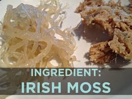 How to make sea moss gel. Was Ist Irisch Moos Rezept Fur Irisch Moos Paste Rohtopia Rohkost Ganzheitliches Wohlfuhlen