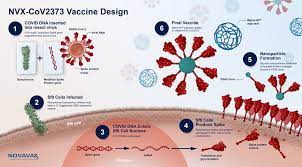The novavax vaccine works by teaching the immune system to make antibodies to the spike protein. Nvx Cov2373 Novavax Nueva Vacuna De La Covid Con Elevada Eficacia Comite Asesor De Vacunas De La Aep