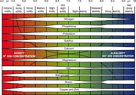 influence of soil ph on plant nutrient availability potash