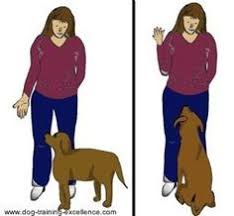 11 Best Dog Training Hand Signals Images Dog Training