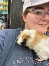 DEEP LITTER SYSTEM OF REARING PIGS AND OTHER ANIMALS:- BEST ANIMAL  PRACTICE:- 🔥 TURN YOUR FARM INTO A CLEAN, ODOUR-FREE & PROFITABLE HUB! 🔥  Are you tired of the smell, flies, and