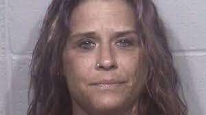 Very drunk' woman jumped from Ocean City's Route 50 drawbridge