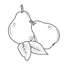 Sketsa kupu kupu yang indah sekali kupu easy butterfly sumber : Gambar Mewarnai Pemandangan Buah Buahan Hitam Putih Shopee Indonesia
