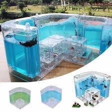 Ants Farm Ants House Castle Colorful Insects Terrarium Ants Cage Insects Box Nursery Ecological Educational Model Toy Ants In House Insect Box Ant Farms