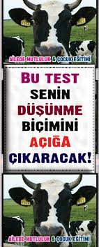 Bu Test Senin Dusunme Bicimini Aciga Cikaracak Ilk Gordugun Nesne Senin Dusunme Bicimini Aciga Cikariyor Kisilik Testleri Komik Resimler Komik