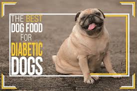 There's an excellent and effective natural treatment for diabetes to prescription insulin. The Best Foods For Diabetic Dogs By Dogmal Com