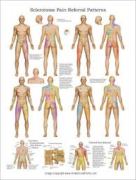 Pin On Massage Room Ideas