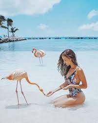 Sull' isola privata, meta ideale per bagni indimenticabili, l'hotel renaissance organizza anche eventi privati a bordo mare (foto qui a sinistra), come feste, matrimoni e cene a lume di candela. Bagno Coi Fenicotteri Nella Caraibica Flamingo Beach Si Puo 361magazine