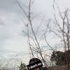 Download koleksi foto lucunya !!! 1