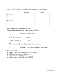 In second grade, children learn many new concept and also are expected to master the math concepts they have learnt so far. Environmental Science Evs Plants Worksheet Class Ii Writing Linear Equations Plants Worksheets Science Worksheets