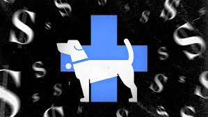 I could not be more grateful! My Dying Dog S Vet Bill Put Me In Debt It Could Happen To You Vox