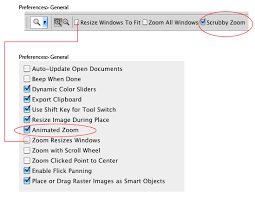 Zoom all windows with the zoom tool selected, checking zoom all windows (in the options bar) will when using the hand tool to pan, photoshop eases out of the pan (this is referred to as flick. Photoshop Scrubby Zoom Animated Zoom Tiny Tutorials Adobe Classroom