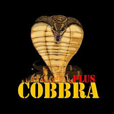 Find latest and old versions. Cobbra Plus 2 4 Download Android Apk Aptoide
